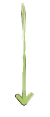 arrowgreen